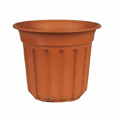 ΓΛΑΣΤΡΑ ΟΛΥΜΠΙΑ ΒΙΟΜΕΣ 14 ΛΙΤΡΑ Ν.374